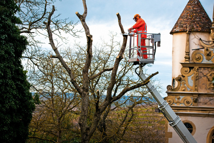 STIHL MS201 TC-M PÍLA MOTOROVÁ 30CM