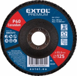 KOTÚČ LAMELOVÝ BRÚSNY ŠIKMÝ D125MM P60