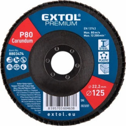 KOTÚČ LAMELOVÝ BRÚSNY ŠIKMÝ D125MM P80